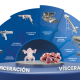 Escviceración y viceras